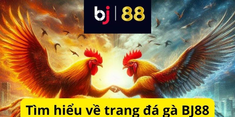 đá gà BJ88